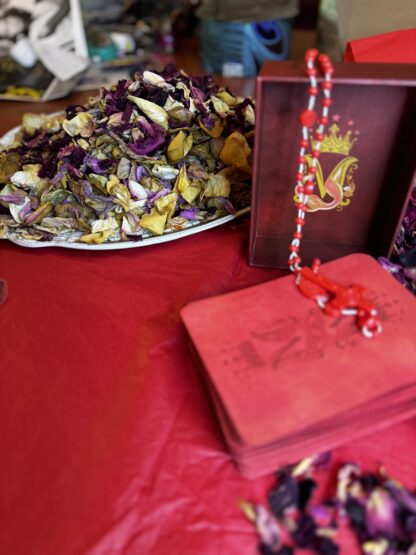 Mysteries of the Red Madonna tarot deck - Image 30